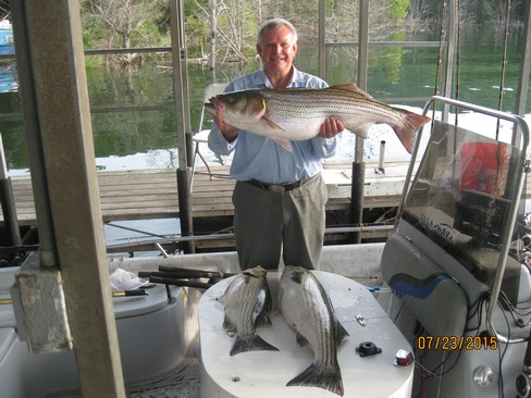 Nice Striped Bass